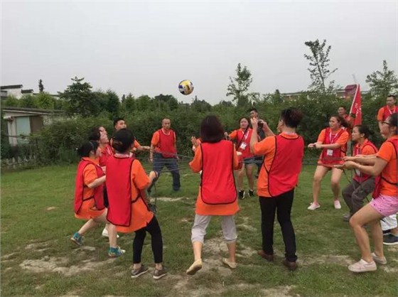 全國第二屆牛商爭霸賽四川賽區(qū)的啟動儀式。來自四川各地的優(yōu)秀牛商們齊聚一堂，為全國第二屆牛商爭霸賽四川賽區(qū)舉行了隆重的啟動儀式。