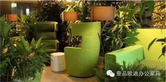 為什么辦公室里一定要養(yǎng)植物？-壹品歐迪辦公家具