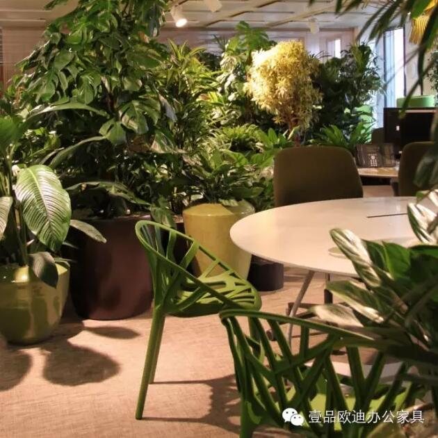 為什么辦公室里一定要養(yǎng)植物？-壹品歐迪辦公家具