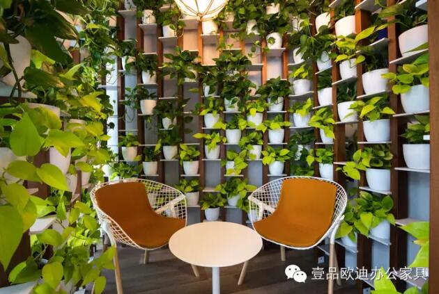為什么辦公室里一定要養(yǎng)植物？-壹品歐迪辦公家具