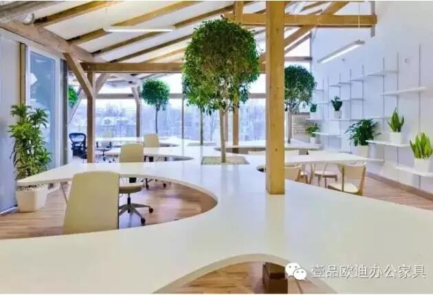 為什么辦公室里一定要養(yǎng)植物？-壹品歐迪辦公家具