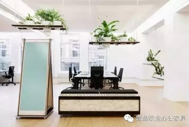 為什么辦公室里一定要養(yǎng)植物？-壹品歐迪辦公家具