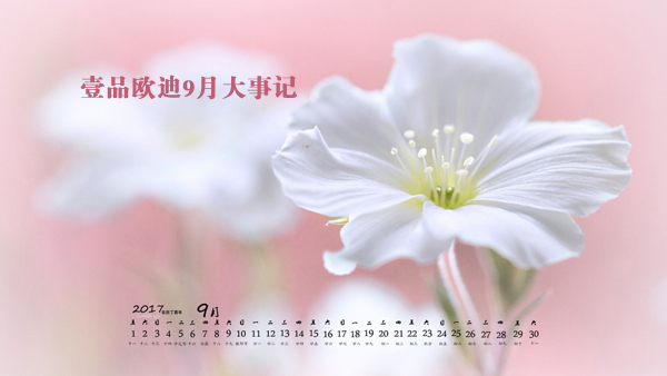 金秋九月，壹品歐迪又有新鮮事發(fā)生了